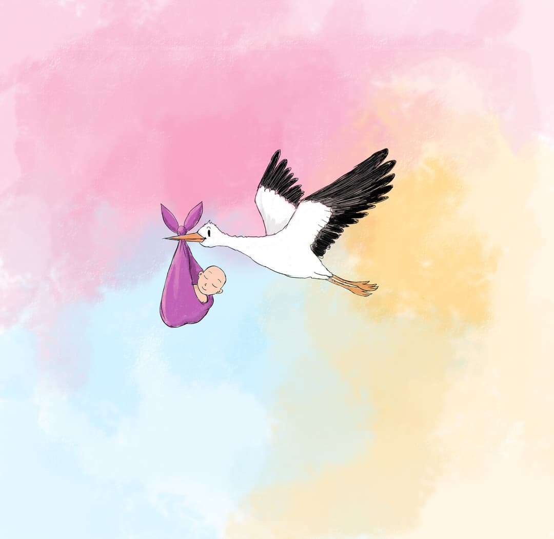 Stork carrying baby illustration